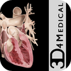3D4Medical.com, LLC - Heart Pro III - iPhone Edition アートワーク