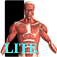 Visual Anatomy Lite